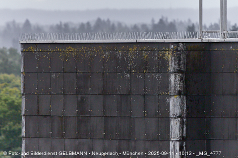 Tauberl-Liebe auf dem Karl-MArx-Ring 58